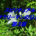 スピリチュアルサラリーマンの日記 第3話「流行りのスピリチュアル編」