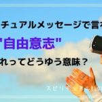 #34-2 スピリチュアル で言うとこのろの”自由意志”って何？