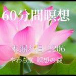癒しの60分間瞑想【2206 木漏れ日】