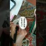 ミニチュアシュナウザー　＃ボルテックス　＃エイブラハム　＃ESTA　＃スピリチュアル　＃ケンシロウ　＃かわいい　＃眠たい　＃Short