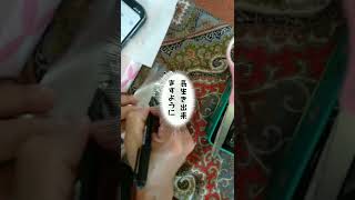 ミニチュアシュナウザー　＃ボルテックス　＃エイブラハム　＃ESTA　＃スピリチュアル　＃ケンシロウ　＃かわいい　＃眠たい　＃Short