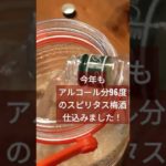 スピリチュアル梅酒いえスピリタス梅酒を仕込みました #shorts