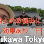 スピリチュアル神社巡りシリーズ、パワースポット、目の神様、素敵な御利益を頂いてください
