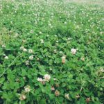 最近の気付きのまとめ(スピリチュアル思想の違和感など)