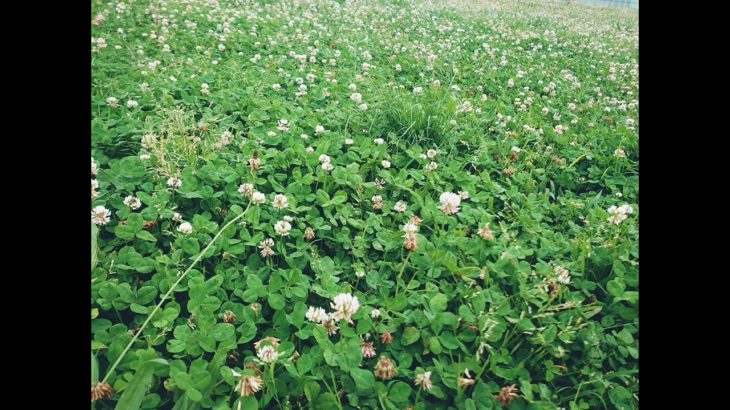 最近の気付きのまとめ(スピリチュアル思想の違和感など)