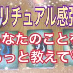 スピリチュアル感強め‼️皆様のこと、教えて💜皆様の性格や願い、この世界でやり遂げることなど、深堀鑑定💕
