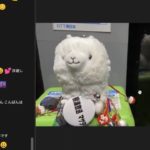 宇宙語…心霊スクリーンショットの鑑定•解析/覚醒スピリチュアル過去世、タロットカード、樹海解説