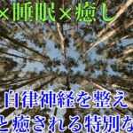 【自然・睡眠・癒し・瞑想・水の音】自立神経をすーっと氣もちが楽になるあなたに送る特別な動画
