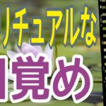 スピリチュアルな目覚め😳あなたに変化が起こっています‼️オラクルカードリーディング✨スピリチュアルカードリーディング✨占い✨３択✨