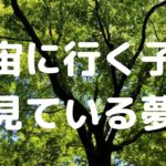 宇宙に行く子が見る夢はどんな夢？#夢 #スピリチュアル #スターシード