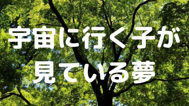 宇宙に行く子が見る夢はどんな夢？#夢 #スピリチュアル #スターシード