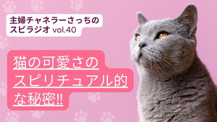 猫の可愛さのスピリチュアル的な秘密‼【主婦チャネラーさっちのスピラジオ】第40回