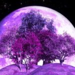 深い眠りの音楽| 528Hz正のエネルギー|瞑想睡眠癒しの音楽|ディープスリープクレンズ