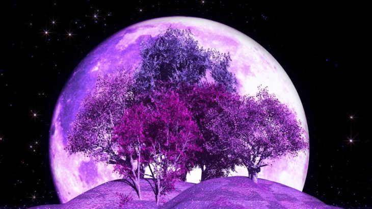 深い眠りの音楽| 528Hz正のエネルギー|瞑想睡眠癒しの音楽|ディープスリープクレンズ