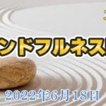 朝のマインドフルネス瞑想（6月18日）