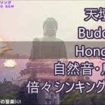 スピリチュアルパワーポットSpiritual power spot天壇大仏Buddha in Hongkong瞑想/浄化/癒しの音楽/自然音/鳥の声倍々シンキングボウルHealing music
