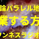 陰謀論パラレル地球を卒業する方法 スピリチュアルのお話 ワンネスラジオ!宇宙人foxちゃんねる