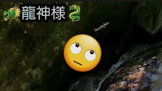 【龍神】 神龍？これはスピなのか？何なんだ？ 【竜神】【スピリチュアル】シェンロン 妖精