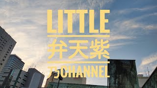 参議院選挙速報とスピリチュアル