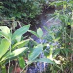 睡眠導入 川のせせらぎ 水の音 自然の音 癒し ストレス解消