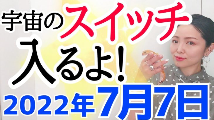 【特別な七夕が来る‼️】あなたはどの世界を選ぶ⁉️陰陽統合には〇〇を食べて✨