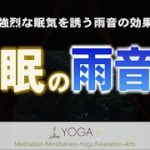 【雨音が眠りを誘う】寝たまま聞くだけ寝落ち『雨音瞑想』長尺音声 マインドフルネス 快眠