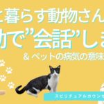 vol.130【スピリチュアル】ペットとスピリチュアル【みちよ】スピリチュアルカウンセラー　ヒーラー　動物　波動　犬　猫