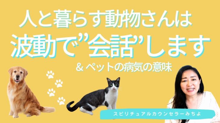 vol.130【スピリチュアル】ペットとスピリチュアル【みちよ】スピリチュアルカウンセラー　ヒーラー　動物　波動　犬　猫