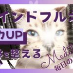 【マインドフルネス瞑想】10分　聴く瞑想　集中力UP　五感瞑想 ＃23
