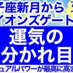 【獅子座新月〜ライオンズゲート】運命が変わる分岐点！スピリチュアルパワーが最高に高まる時期、「これ」が鍵になります。【7/29~8/8】