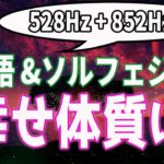 【幸運を引き寄せるスピリチュアル音楽】宇宙語とソルフェジオ周波数 【963Hz＆741Hz】　VOL44