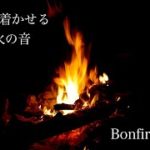 【焚き火・睡眠用BGM】眠れない方のための睡眠用BGM・勉強・作業・瞑想・癒し