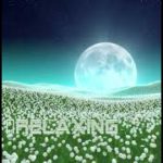 【瞑想音楽】Deep Healing Music Shorts