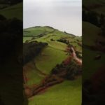 瞑想と癒しの音楽 #shorts