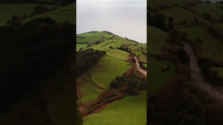 瞑想と癒しの音楽 #shorts