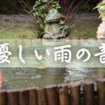 【癒し効果】優しい雨の音 | リラックス、睡眠、瞑想などに