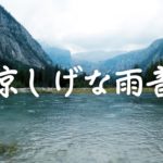 【涼しくなる】癒しの雨の音（２時間）| 睡眠、リラックス、瞑想などに
