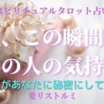 [スピリチュアルタロット占い]🔮今、この瞬間のあの人の気持ち🌠(あの人はあなたに何を隠しているのか❔何を秘密にしてるのか❔😔🌱🍀）