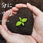 【誘導瞑想】感謝の気持ちで波動を高める｜自分自身に感謝する