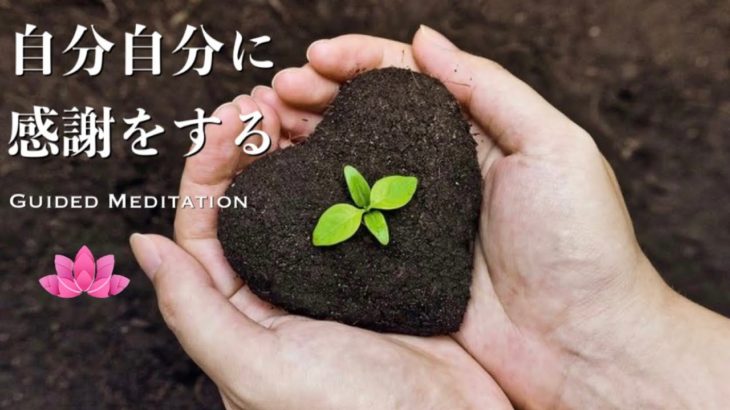 【誘導瞑想】感謝の気持ちで波動を高める｜自分自身に感謝する