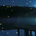 眠りを助ける癒しの瞑想音楽とソルフェジオ周波数が毎日のストレス緩和、疲労回復を促す濃縮した睡眠の時間を…【 睡眠用・リラックス 音楽・眠れる音楽・癒し 音楽】