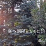 〔瞑想曲〕森の中のおうち/癒し/早起きした日の庭/ピアノ