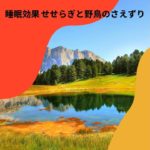 瞑想 [癒しの自然音] 海と波の音