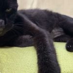 マインドフルネス瞑想波音に癒されながら♡