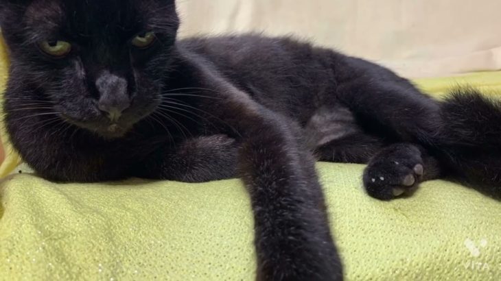 マインドフルネス瞑想波音に癒されながら♡