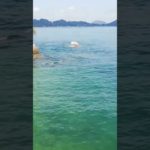 おはよう👋😃☀️海🌊今日も逢えてうれしい😃💕#マインドフルネス #健康 #瞑想 #海 #瀬戸内海 #癒し