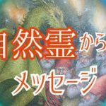 自然霊からのメッセージ✴️㊙️あなたの真実が当たるスピリチュアルタロット㊙️