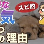 【眠気】強烈な眠気のスピリチュアル的な意味と対応方法