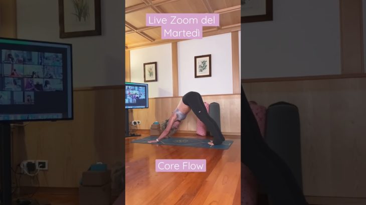Le lezioni Live del martedì di Fly Flow Yoga ❤️