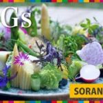 【旅先で体感！ SDGs】立川の「SORANO HOTEL」でウェルビーイングな東京HOTEL STAY